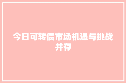 今日可转债市场机遇与挑战并存