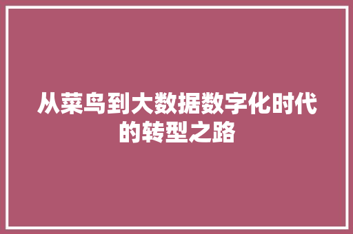 从菜鸟到大数据数字化时代的转型之路