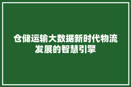 仓储运输大数据新时代物流发展的智慧引擎 建站教程