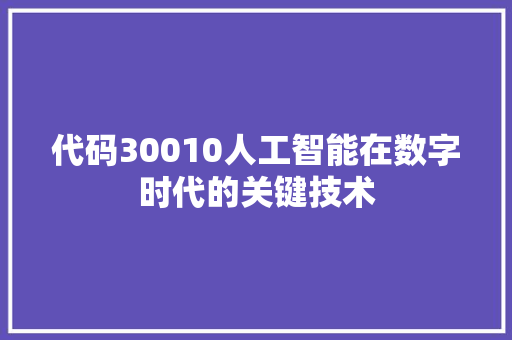 代码30010人工智能在数字时代的关键技术 SEO教程