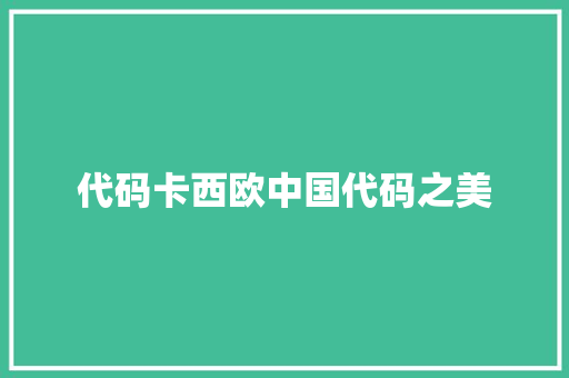 代码卡西欧中国代码之美
