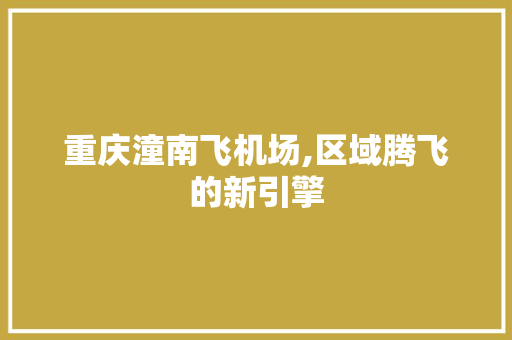 重庆潼南飞机场,区域腾飞的新引擎