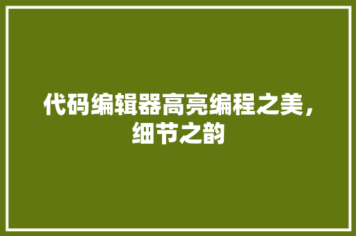 代码编辑器高亮编程之美，细节之韵