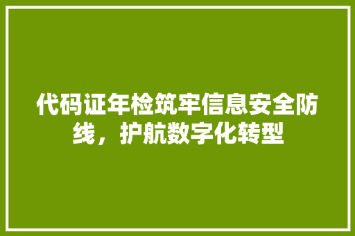 代码证年检筑牢信息安全防线，护航数字化转型 服务器/数据库