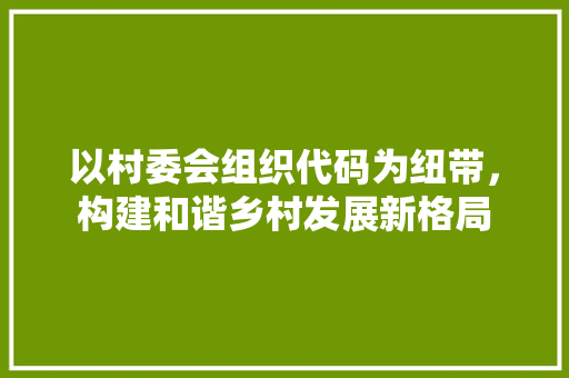 以村委会组织代码为纽带，构建和谐乡村发展新格局