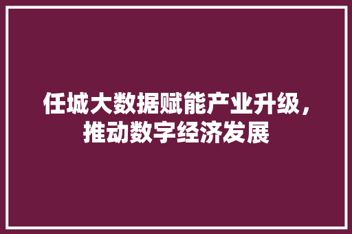 任城大数据赋能产业升级，推动数字经济发展