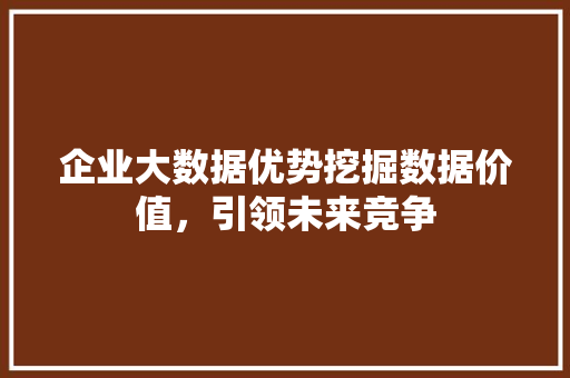 企业大数据优势挖掘数据价值，引领未来竞争 SEO教程