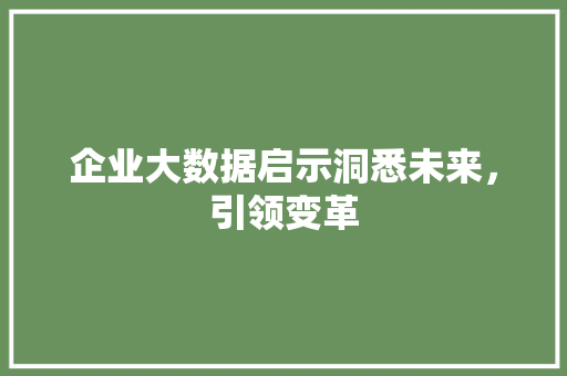 企业大数据启示洞悉未来，引领变革