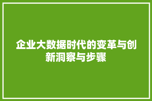 企业大数据时代的变革与创新洞察与步骤