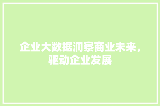 企业大数据洞察商业未来，驱动企业发展