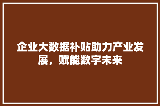 企业大数据补贴助力产业发展，赋能数字未来 WordPress教程