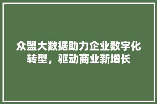 众盟大数据助力企业数字化转型，驱动商业新增长