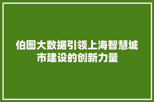 伯图大数据引领上海智慧城市建设的创新力量