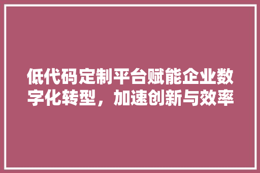 低代码定制平台赋能企业数字化转型，加速创新与效率