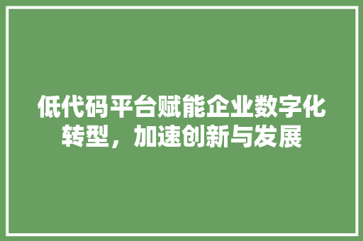 低代码平台赋能企业数字化转型，加速创新与发展