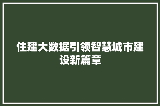 住建大数据引领智慧城市建设新篇章