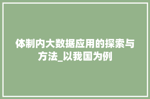 体制内大数据应用的探索与方法_以我国为例