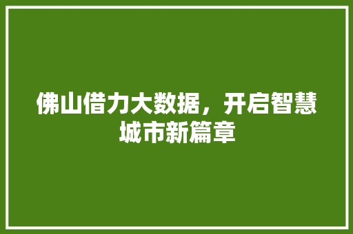 佛山借力大数据，开启智慧城市新篇章