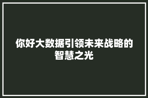 你好大数据引领未来战略的智慧之光