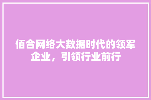 佰合网络大数据时代的领军企业，引领行业前行