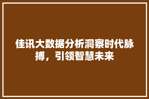 佳讯大数据分析洞察时代脉搏，引领智慧未来