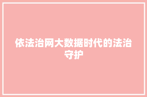 依法治网大数据时代的法治守护