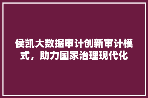 侯凯大数据审计创新审计模式，助力国家治理现代化