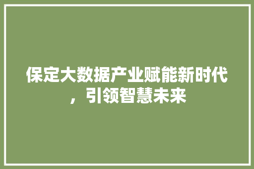 保定大数据产业赋能新时代，引领智慧未来