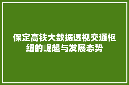 保定高铁大数据透视交通枢纽的崛起与发展态势