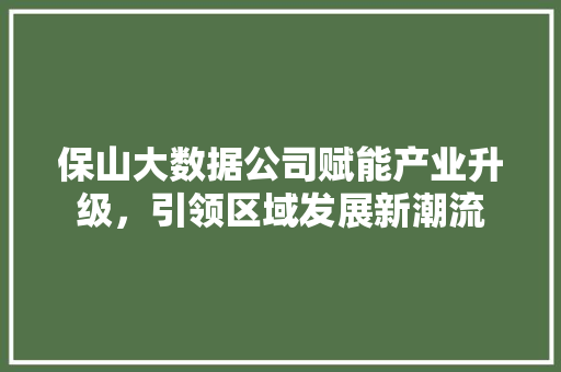 保山大数据公司赋能产业升级，引领区域发展新潮流