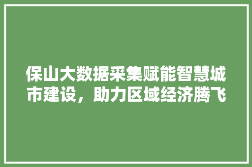 保山大数据采集赋能智慧城市建设，助力区域经济腾飞