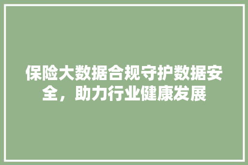 保险大数据合规守护数据安全，助力行业健康发展