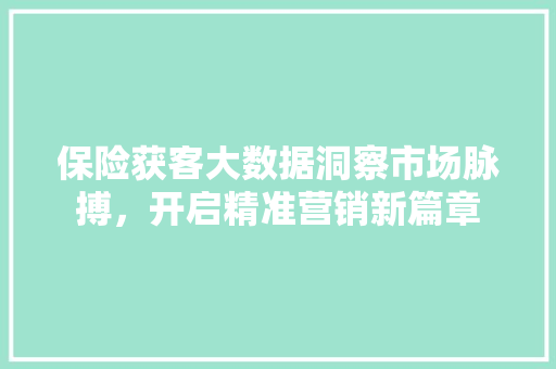 保险获客大数据洞察市场脉搏，开启精准营销新篇章