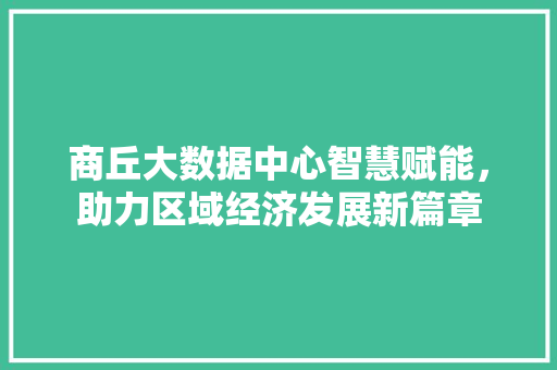 商丘大数据中心智慧赋能，助力区域经济发展新篇章 Web前端
