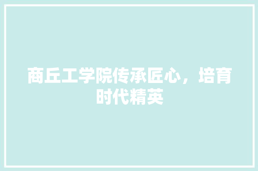 商丘工学院传承匠心，培育时代精英 建站教程