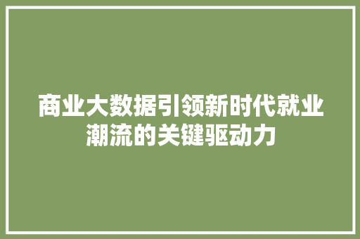 商业大数据引领新时代就业潮流的关键驱动力 SEO教程