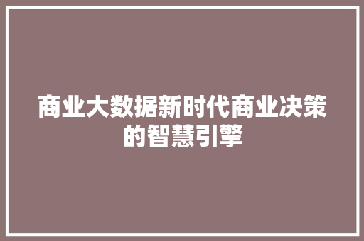 商业大数据新时代商业决策的智慧引擎 Web前端