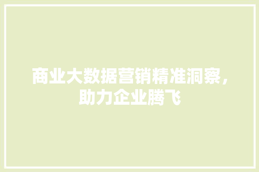 商业大数据营销精准洞察，助力企业腾飞 SEO教程