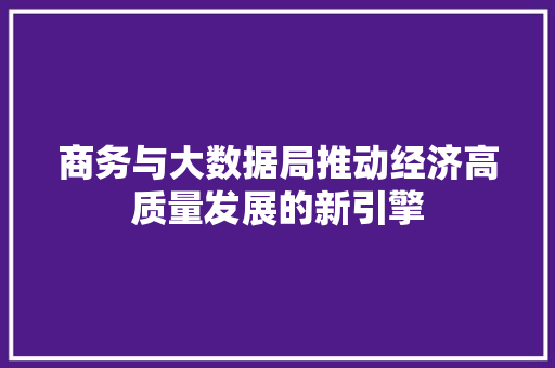 商务与大数据局推动经济高质量发展的新引擎 WordPress教程