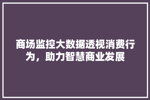商场监控大数据透视消费行为，助力智慧商业发展 友链在线