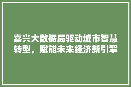 嘉兴大数据局驱动城市智慧转型，赋能未来经济新引擎 服务器/数据库