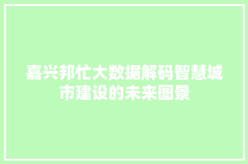 嘉兴邦忙大数据解码智慧城市建设的未来图景