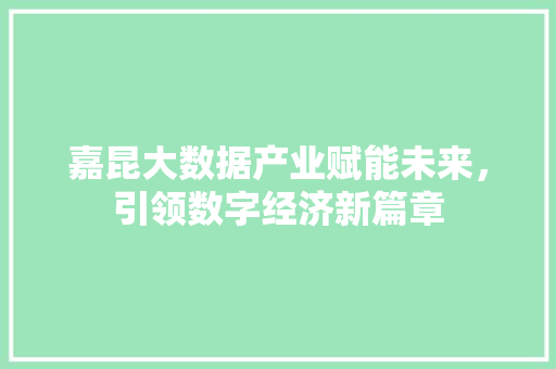 嘉昆大数据产业赋能未来，引领数字经济新篇章 SEO教程