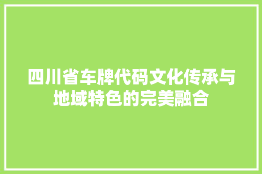 四川省车牌代码文化传承与地域特色的完美融合