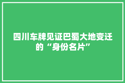 四川车牌见证巴蜀大地变迁的“身份名片” WordPress教程