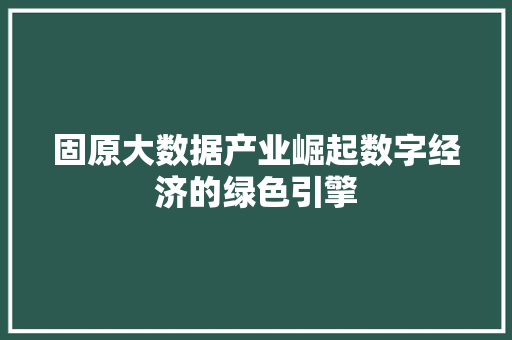 固原大数据产业崛起数字经济的绿色引擎