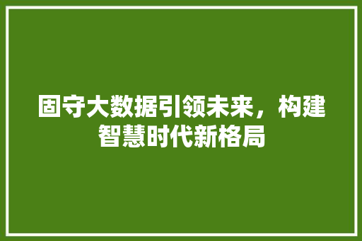 固守大数据引领未来，构建智慧时代新格局