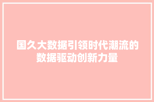 国久大数据引领时代潮流的数据驱动创新力量