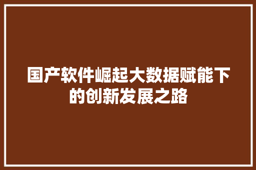 国产软件崛起大数据赋能下的创新发展之路