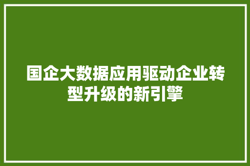 国企大数据应用驱动企业转型升级的新引擎